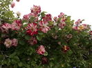 IMG_20160531_104613
