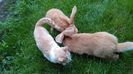 IMG_20160509_155731