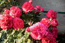 IMG_20160605_072751
