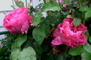IMG_20160605_072643