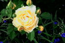 IMG_20160605_072521