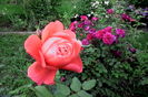 IMG_20160604_193527