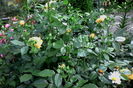 IMG_20160604_193514