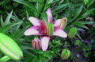 IMG_20160604_193407