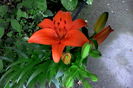 IMG_20160604_193339