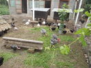 DSCF9737