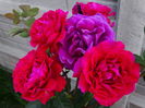 DSC09602