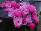DSC09630