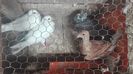 IMG_20160605_092528