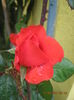 Picture 6216