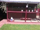 IMG_20160605_153849