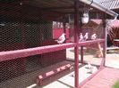 IMG_20160605_153914