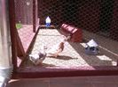 IMG_20160605_153943