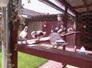 IMG_20160605_154015
