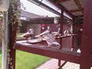 IMG_20160605_154023