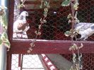 IMG_20160605_154040