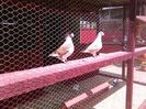 IMG_20160605_154118
