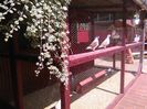 IMG_20160605_154130