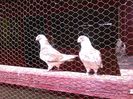 IMG_20160605_154156