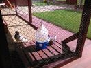 IMG_20160605_154330