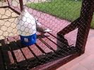 IMG_20160605_154337