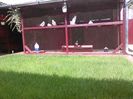 IMG_20160605_154604
