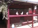 IMG_20160605_154626