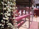 IMG_20160605_154643