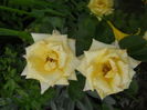 DSCN9407