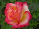 DSCN9412