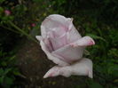 DSCN9415