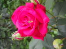 DSCN9418