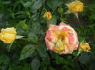 DSCN9419