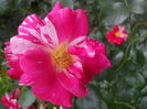 DSCN9424