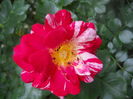 DSCN9425