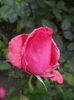 DSCN9426