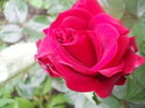 DSCN9427