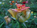 DSCN9430