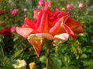 DSCN9432