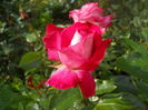 DSCN9434