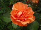 DSCN9437