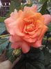 20160605_082437