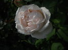 DSCN9441