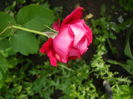 DSCN9442