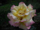 DSCN9443