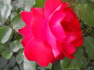 DSCN9445