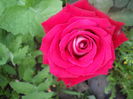 DSCN9446