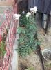 20160605_084546