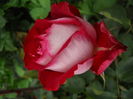 DSCN9448