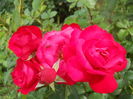 DSCN9452